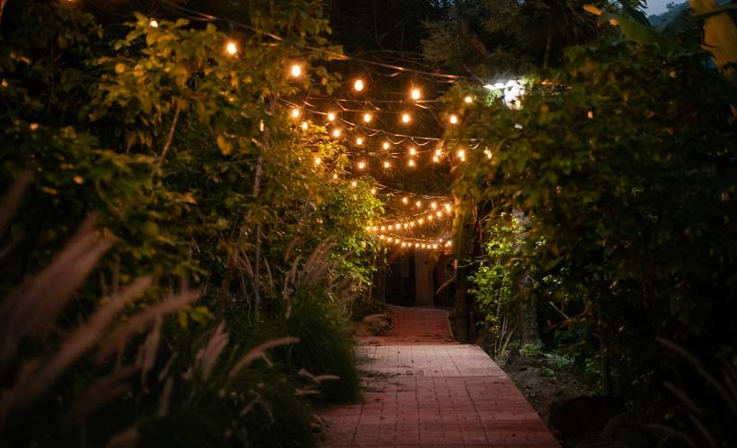 Luces entre la vegetación del Paseo Venecia