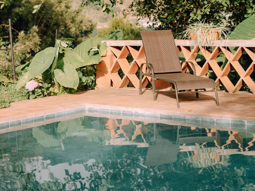 Piscina entre plantas tropicales
